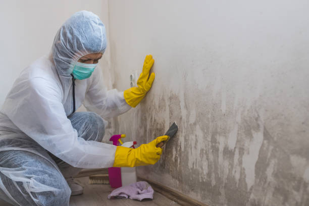 Biohazard Mold Removal in Covington, IN