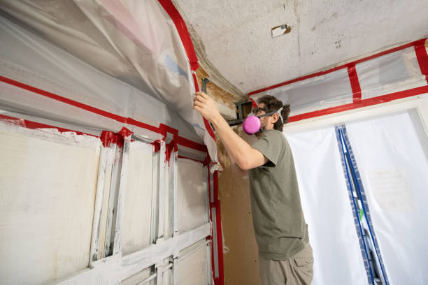 Best Airborne Mold Testing  in Covgton, IN