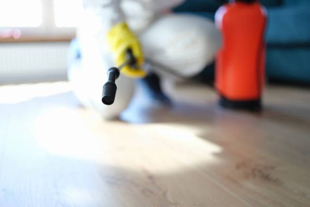 Best Basement Mold Removal  in Covgton, IN