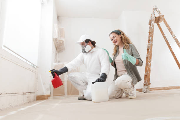 Best Mold Removal for HVAC Installations  in Covgton, IN