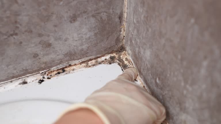 Best Indoor Air Quality Assessment  in Covgton, IN